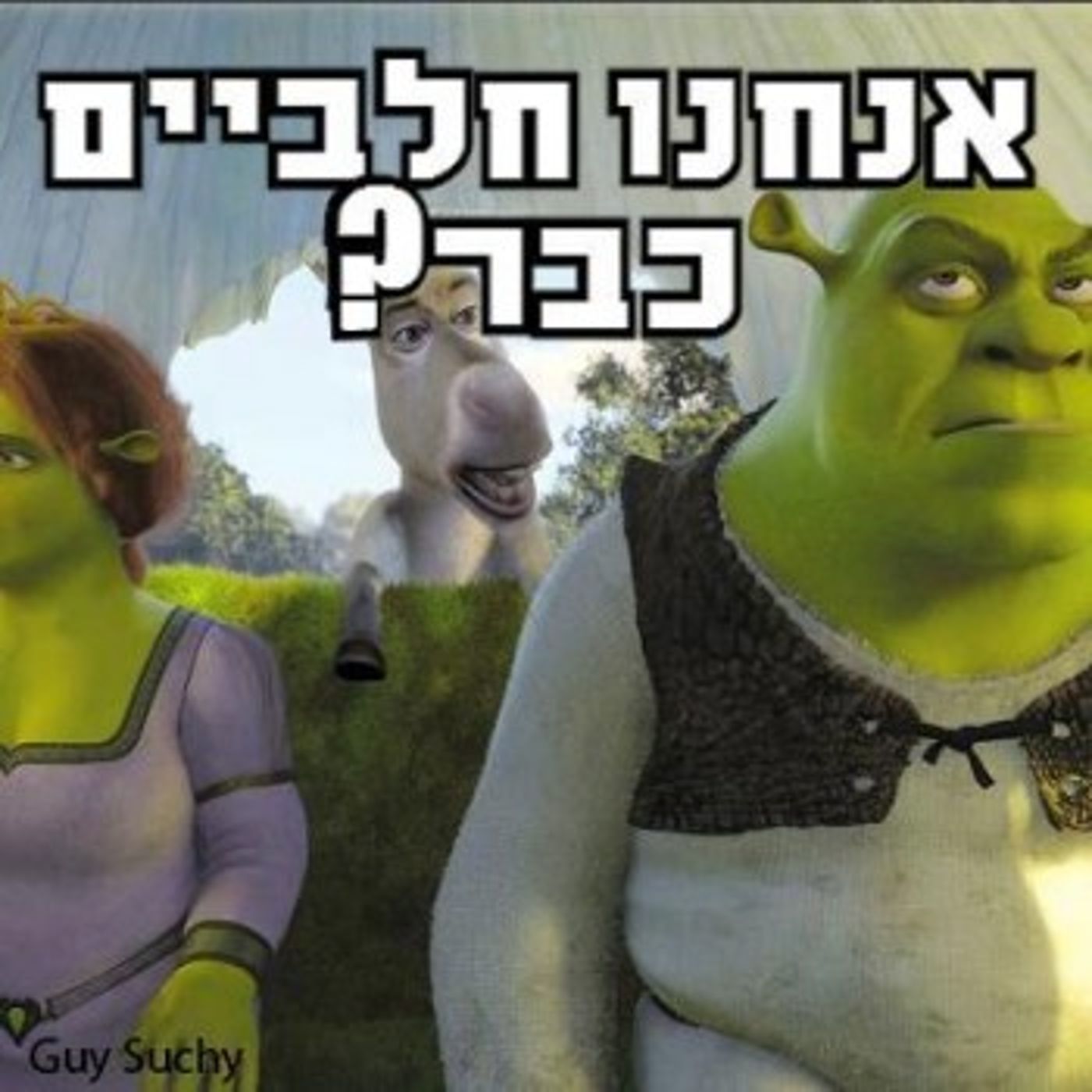 מצעד דוסים מצייצים: מי ניצח את הממים של ל"ג בעומר?