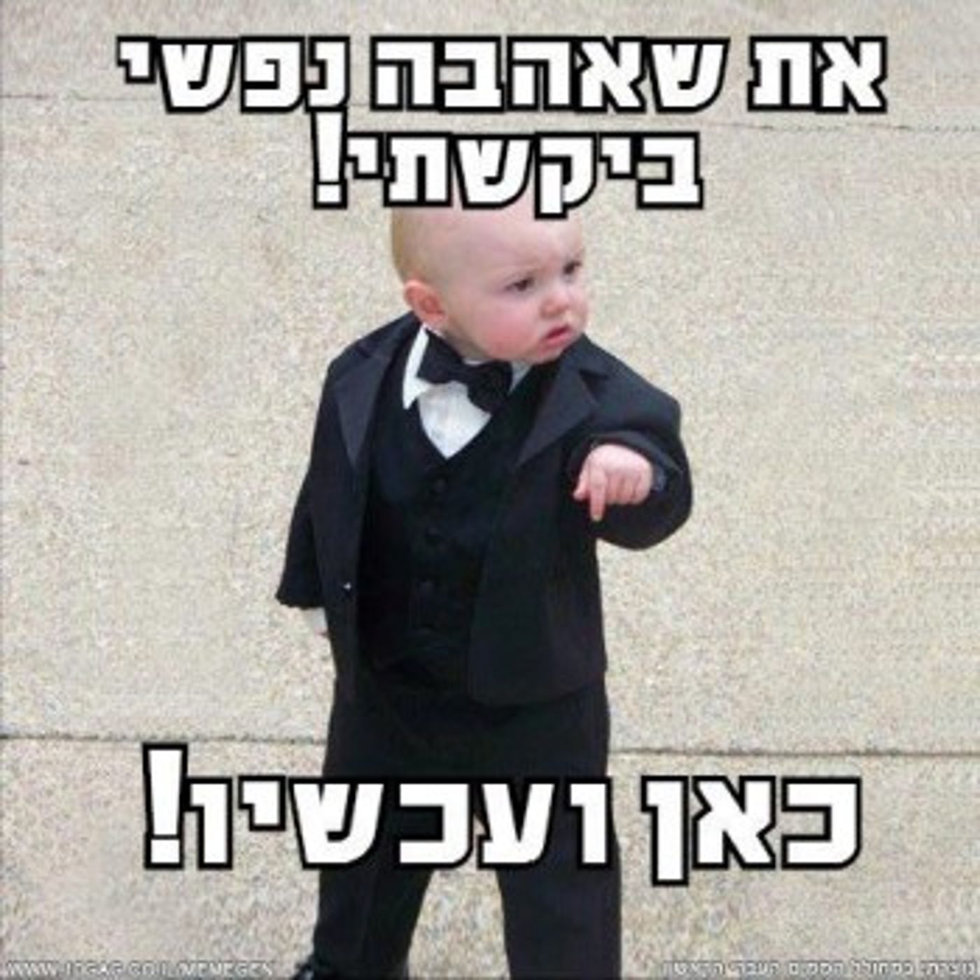 מצעד דוסים מצייצים: עשרת הממים המצחיקים של השבוע