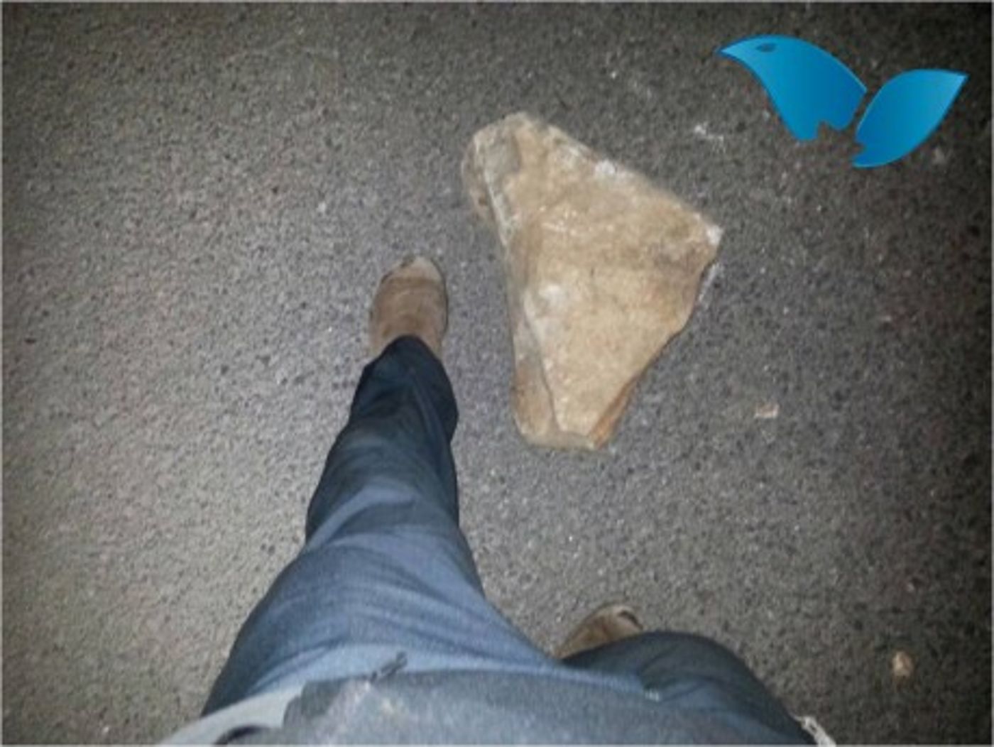 מול התגובה הרפה של צה"ל; טרור האבנים ביו"ש נמשך