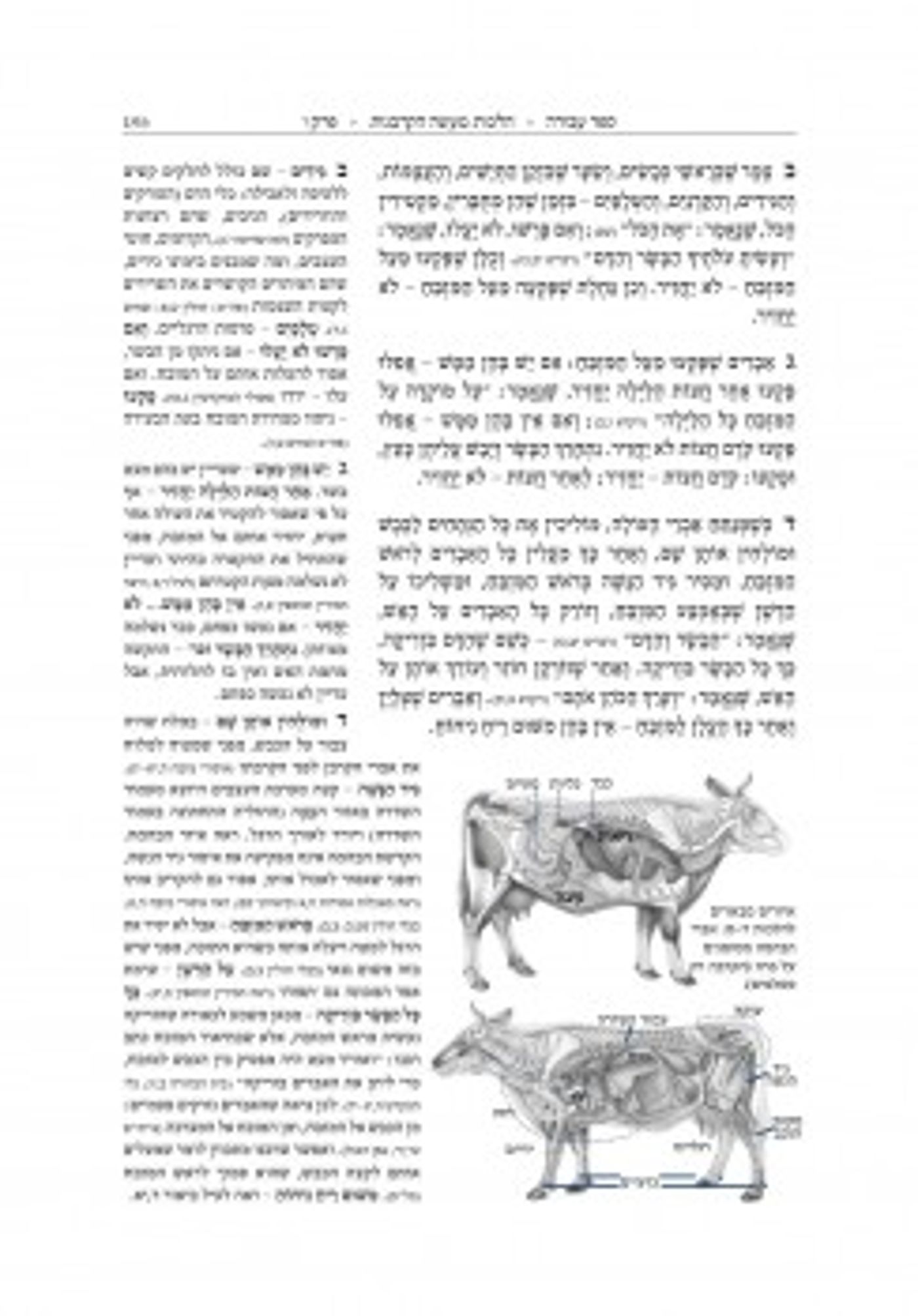 אפליקציית תורה ועבודה: ללמוד ולהבין את הרמב"ם
