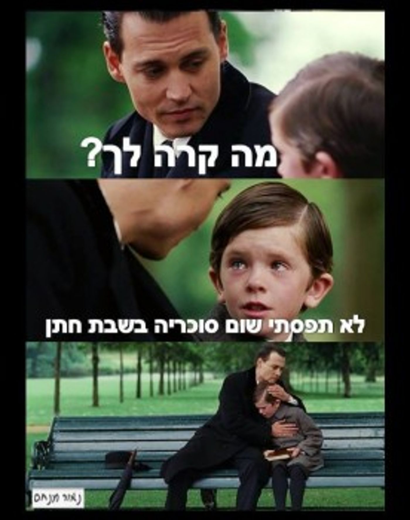מצעד דוסים מצייצים 22: הממים האהובים ביותר השבוע