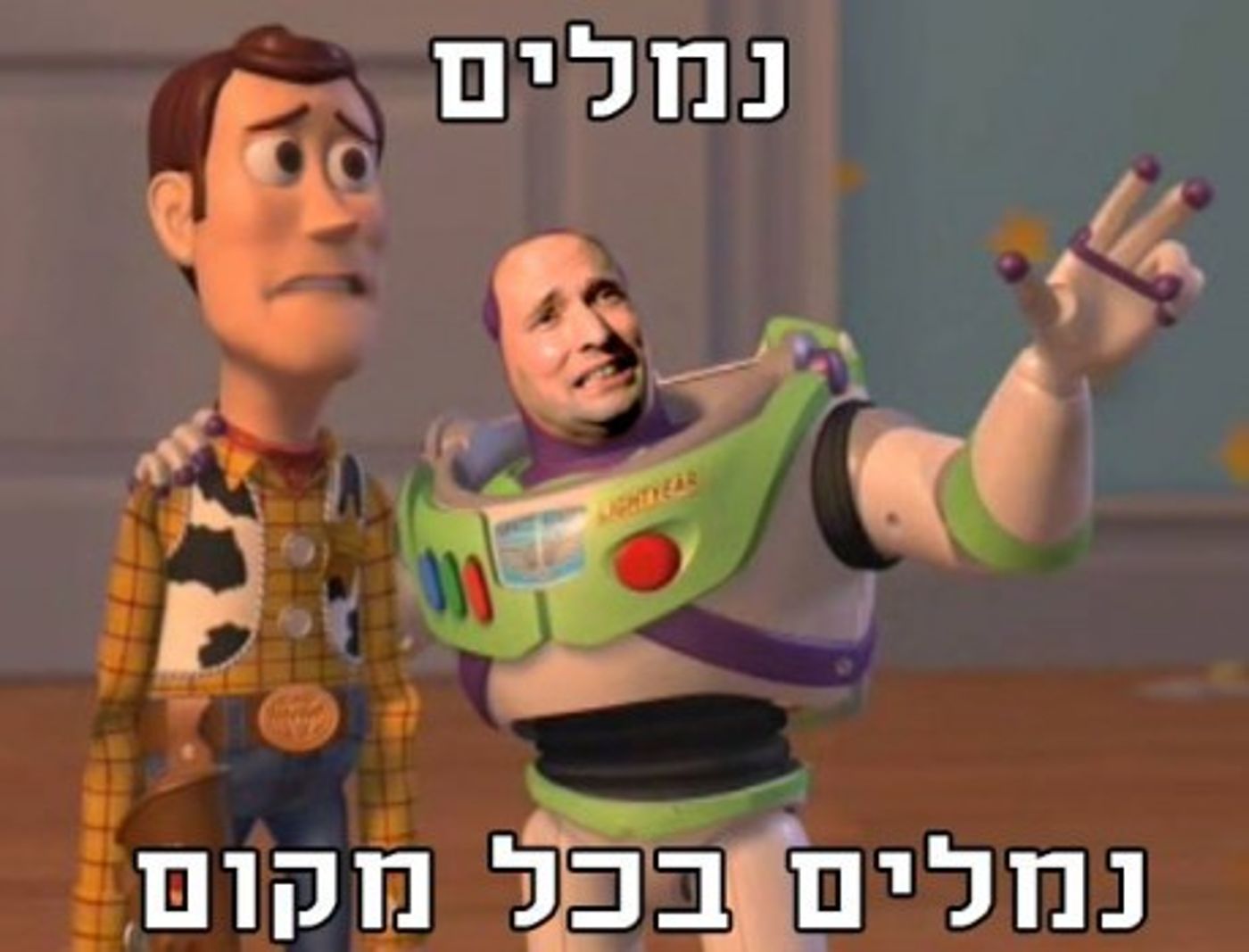 מצעד דוסים מצייצים 22: הממים האהובים ביותר השבוע