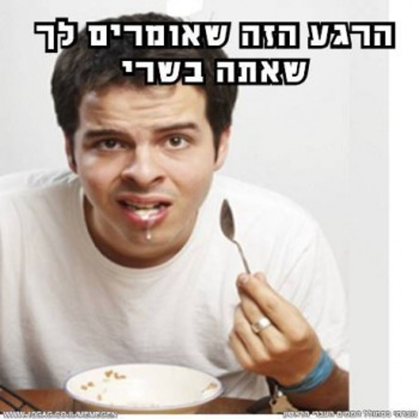 מצעד דוסים מצייצים 22: הממים האהובים ביותר השבוע
