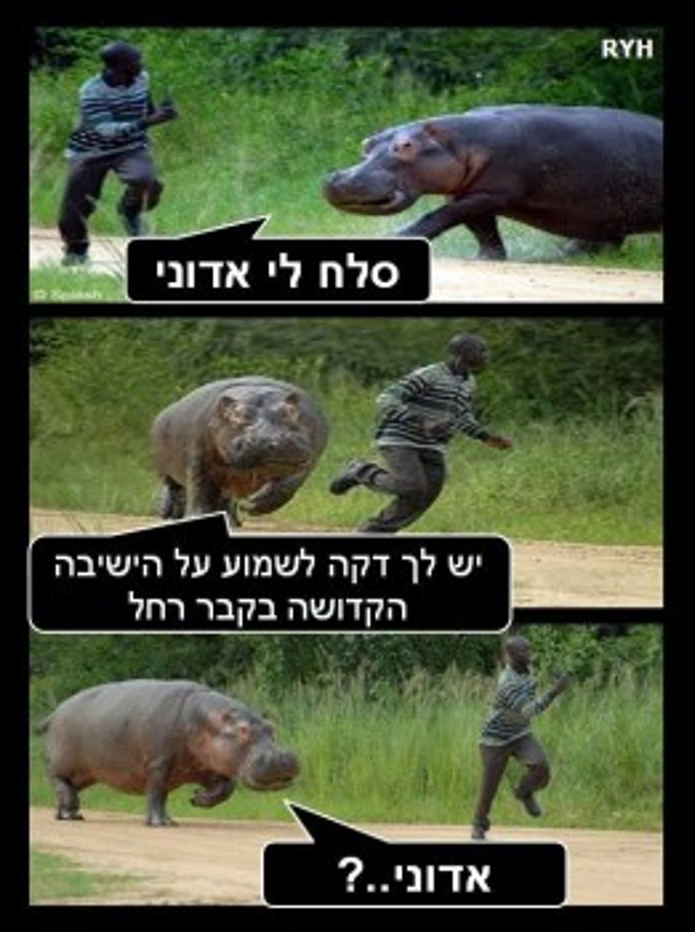 מצעד דוסים מצייצים 25: הממים האהובים ביותר השבוע