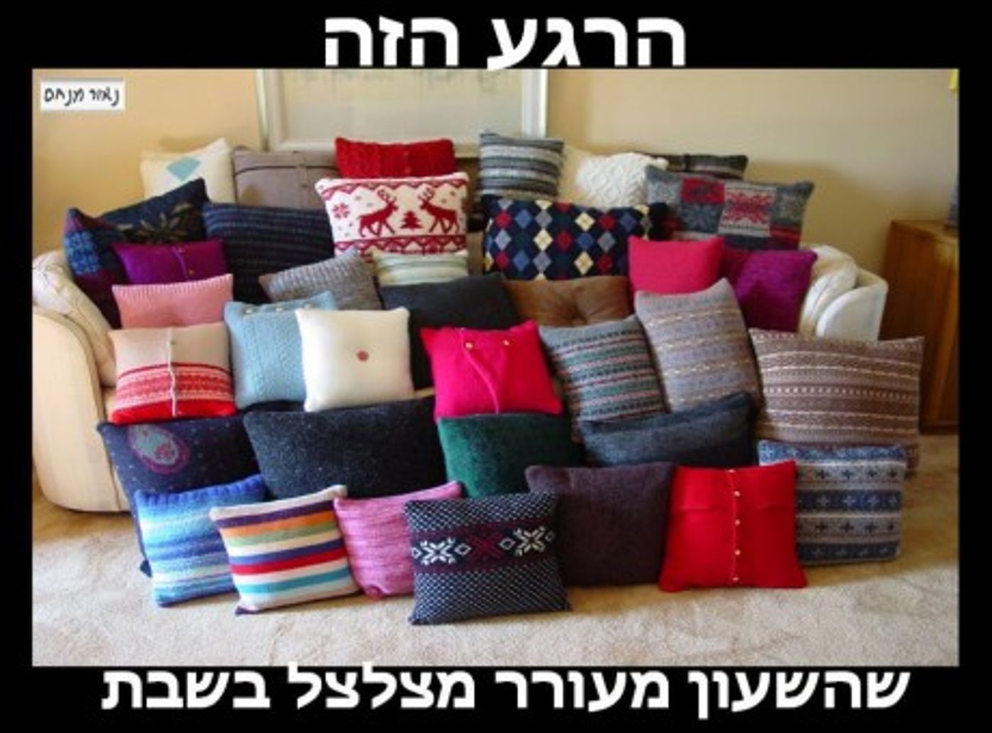 מצעד דוסים מצייצים 25: הממים האהובים ביותר השבוע