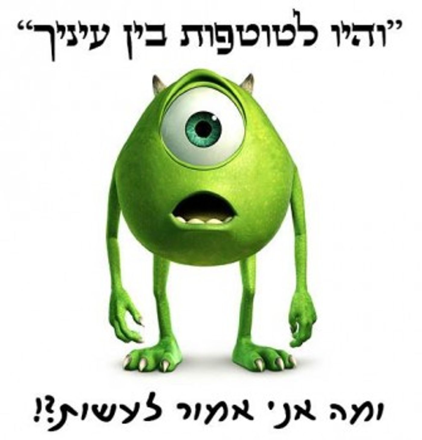 מצעד דוסים מצייצים 25: הממים האהובים ביותר השבוע