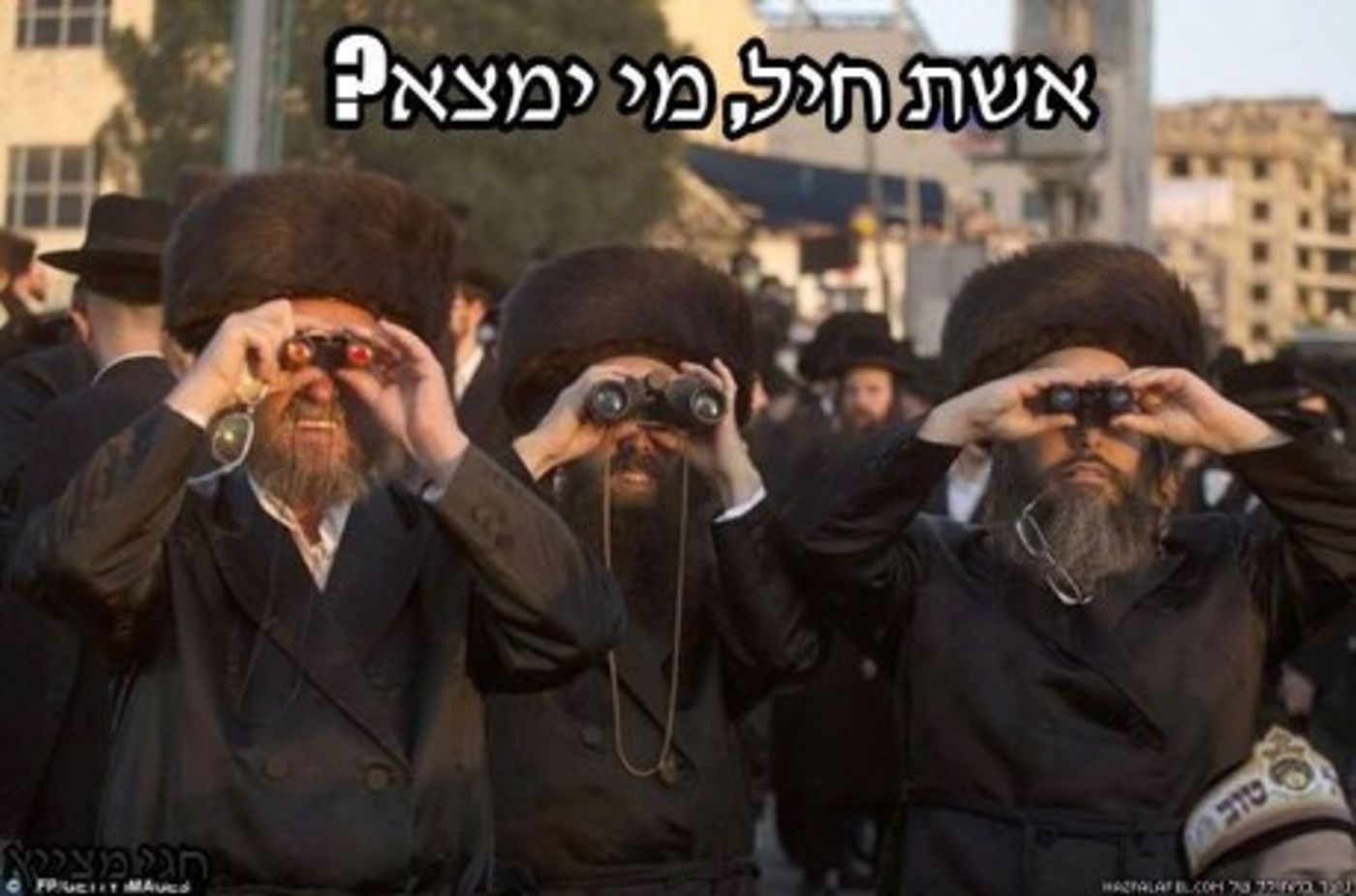 מצעד דוסים מצייצים 27: הממים האהובים ביותר השבוע