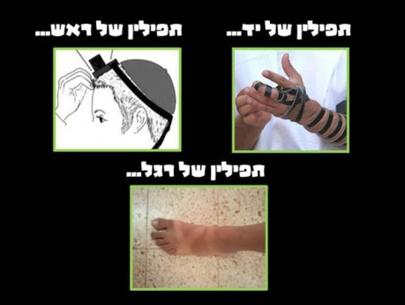 מצעד דוסים מצייצים 27: הממים האהובים ביותר השבוע
