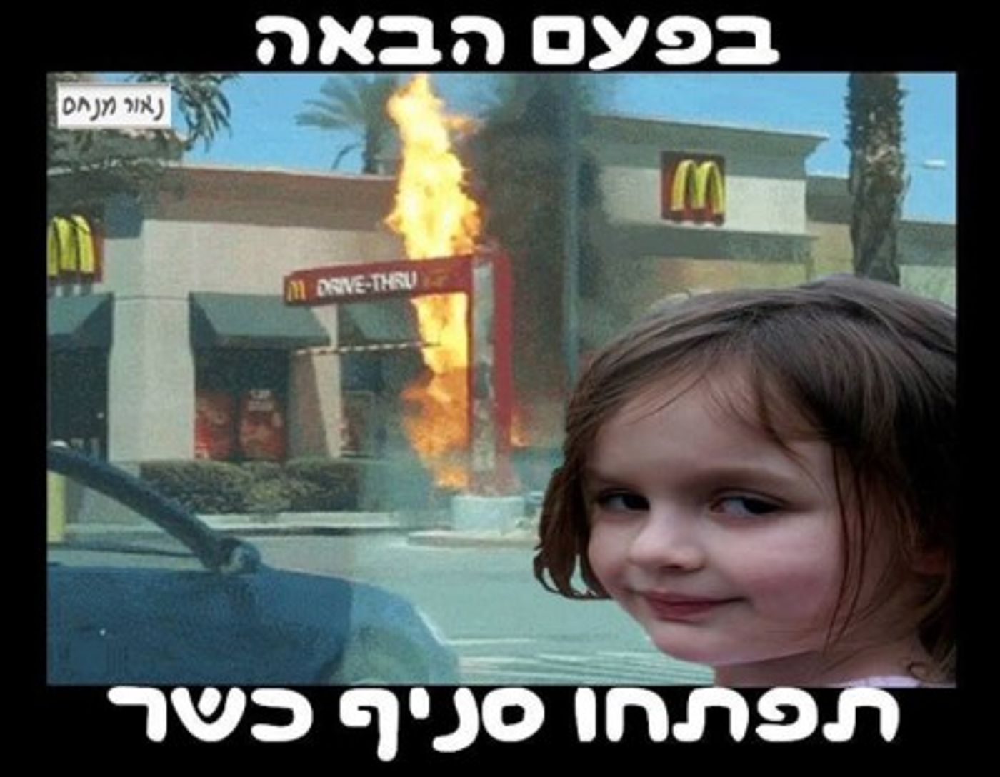 מצעד דוסים מצייצים 27: הממים האהובים ביותר השבוע
