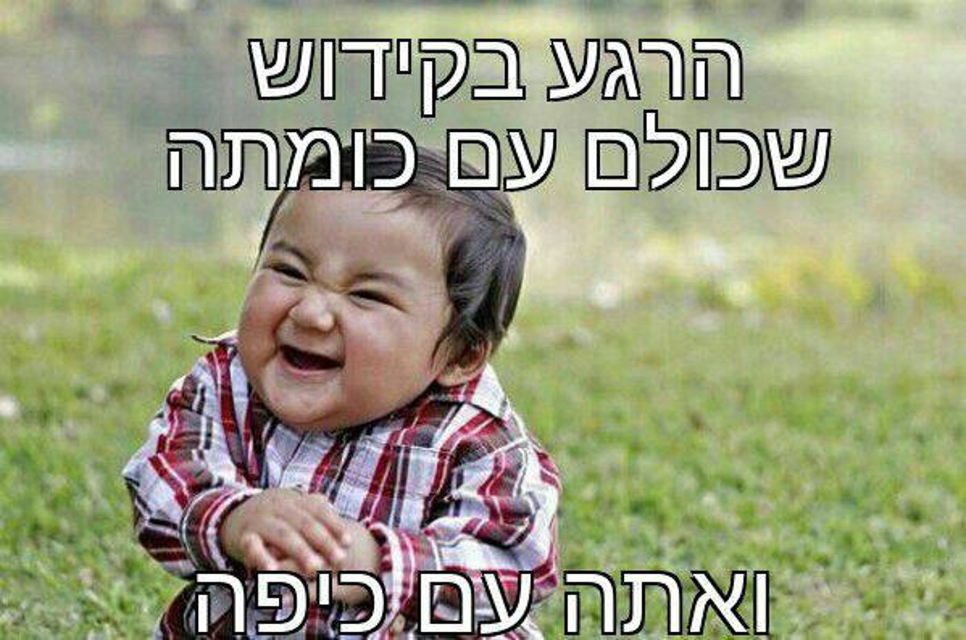 חדש בפייסבוק: הבייני"שים מצייצים