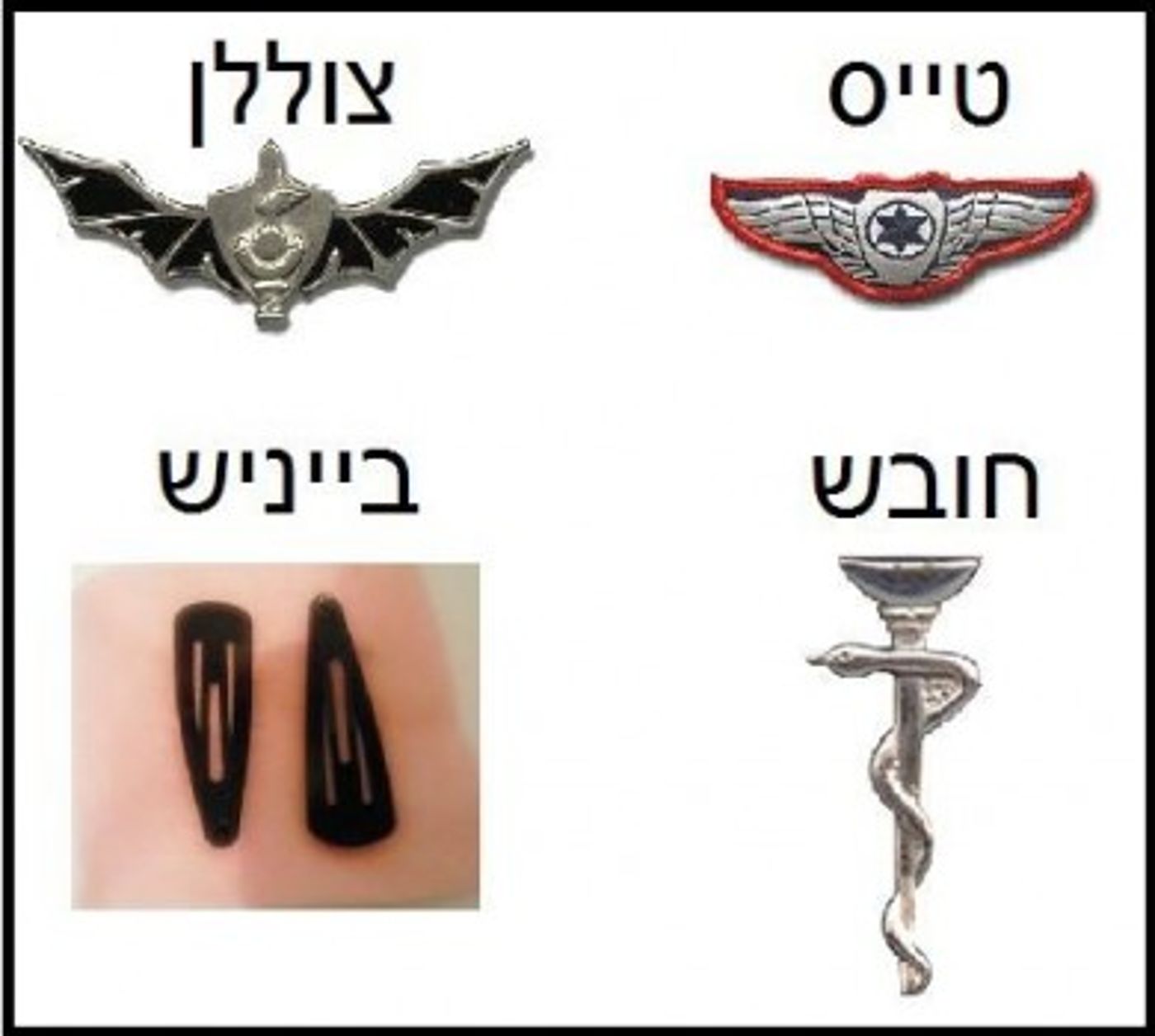 חדש בפייסבוק: הבייני"שים מצייצים