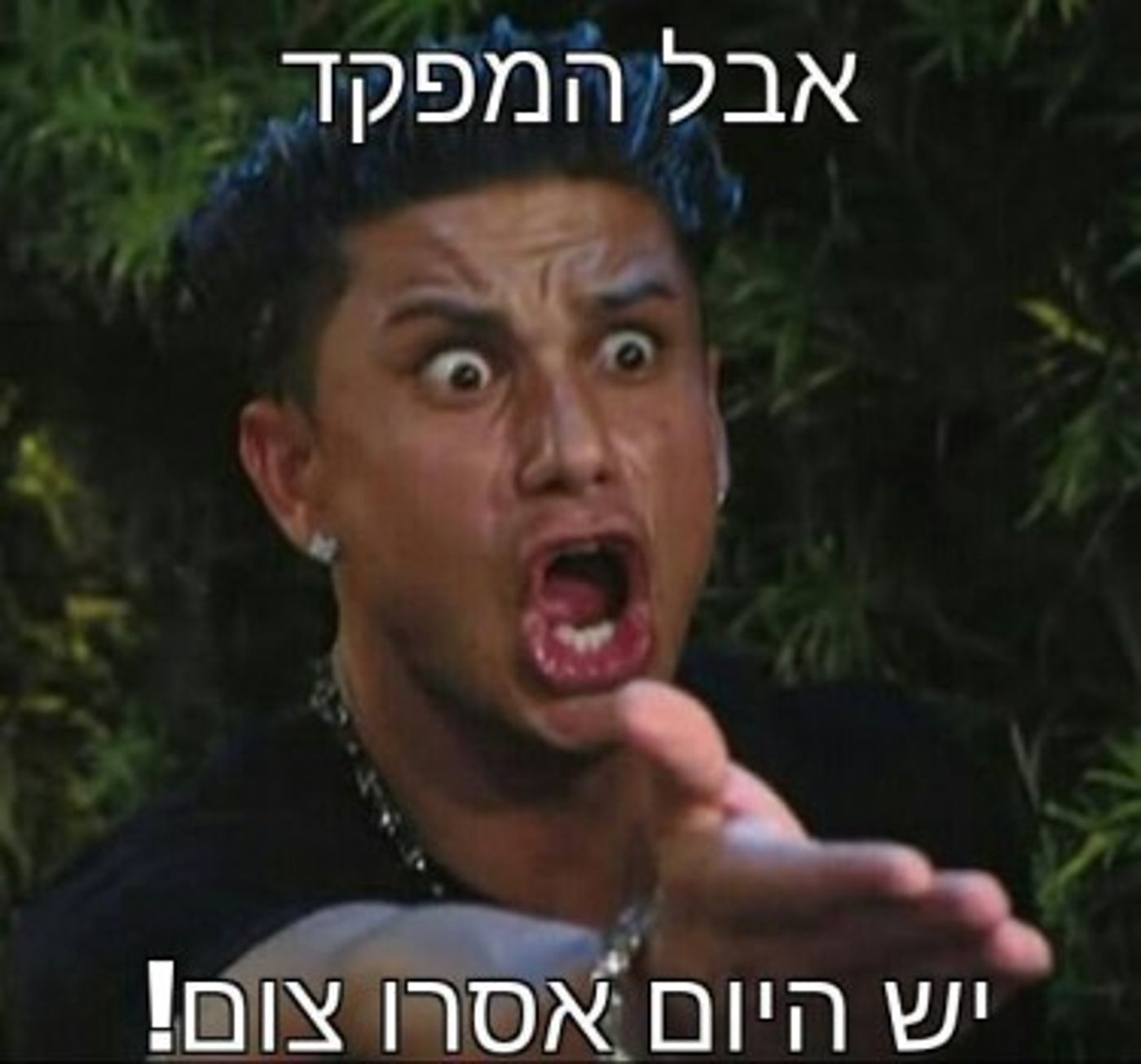 חדש בפייסבוק: הבייני"שים מצייצים