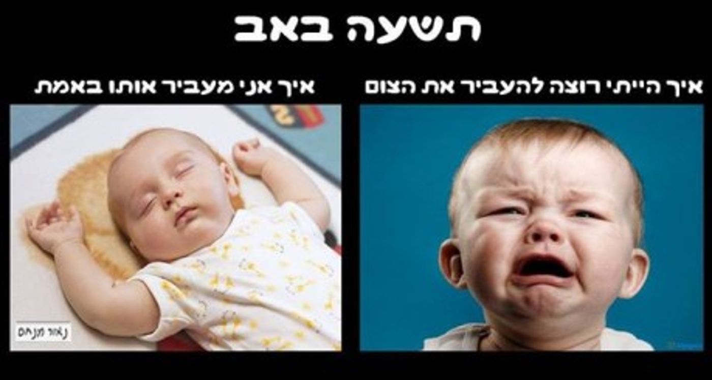 מצעד דוסים מצייצים 30: הממים האהובים ביותר השבוע