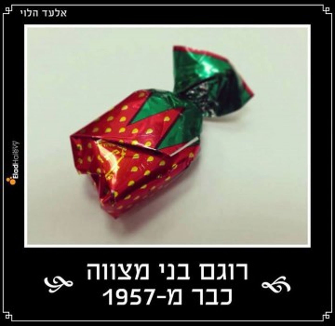 מצעד דוסים מצייצים 31: הממים האהובים ביותר השבוע