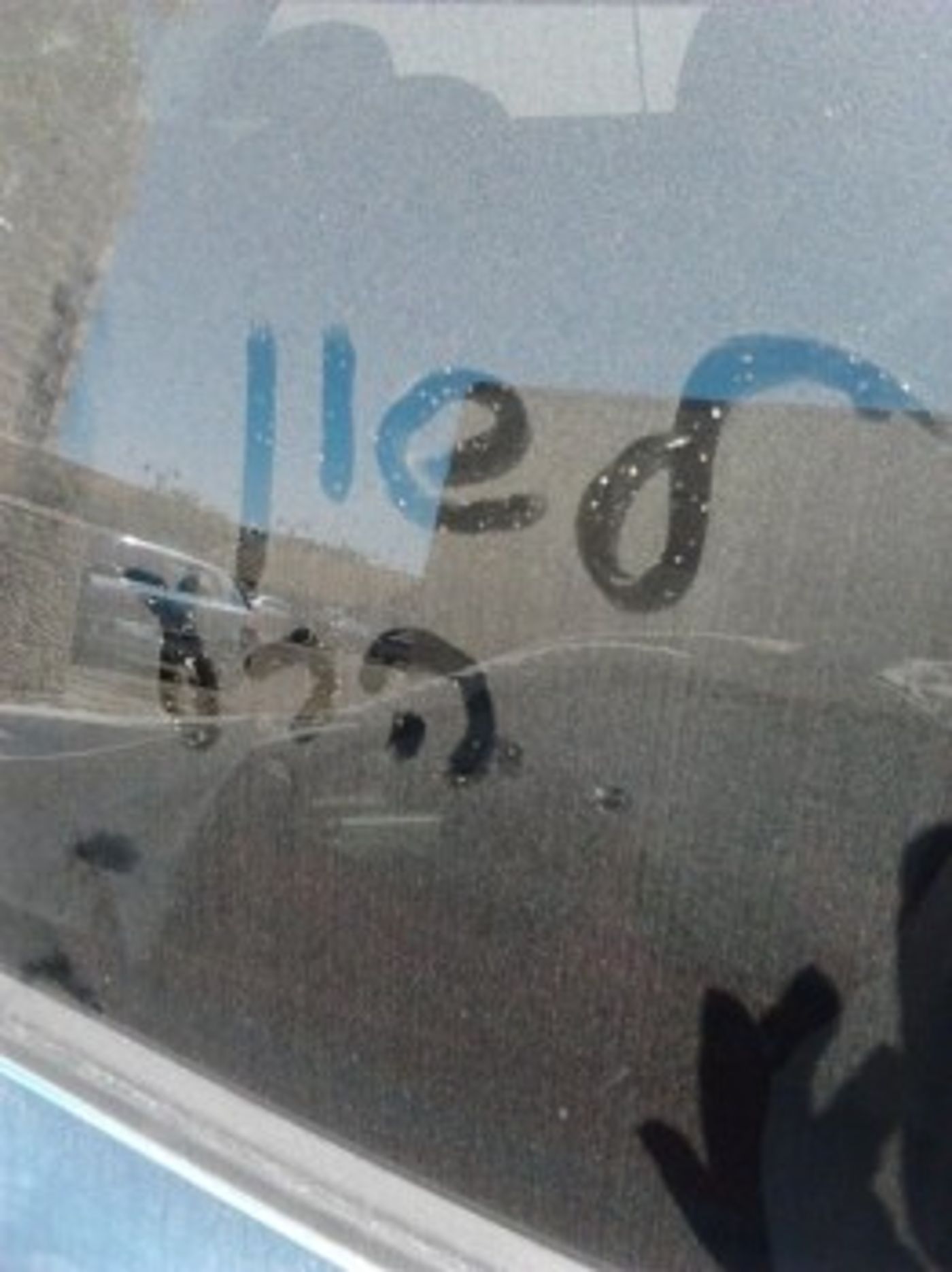 מצעד דוסים מצייצים 32: הממים האהובים ביותר השבוע