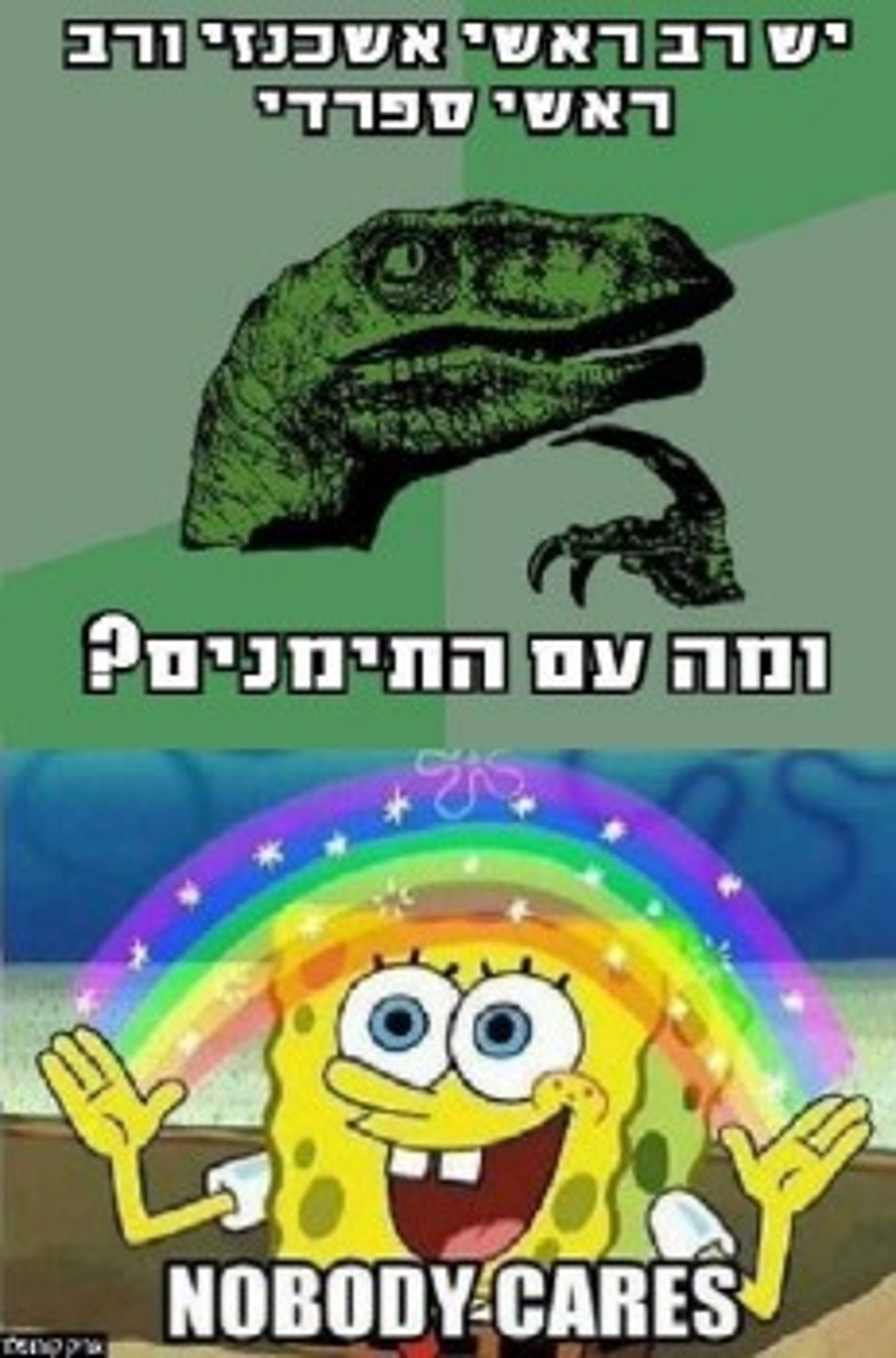 מצעד דוסים מצייצים 32: הממים האהובים ביותר השבוע