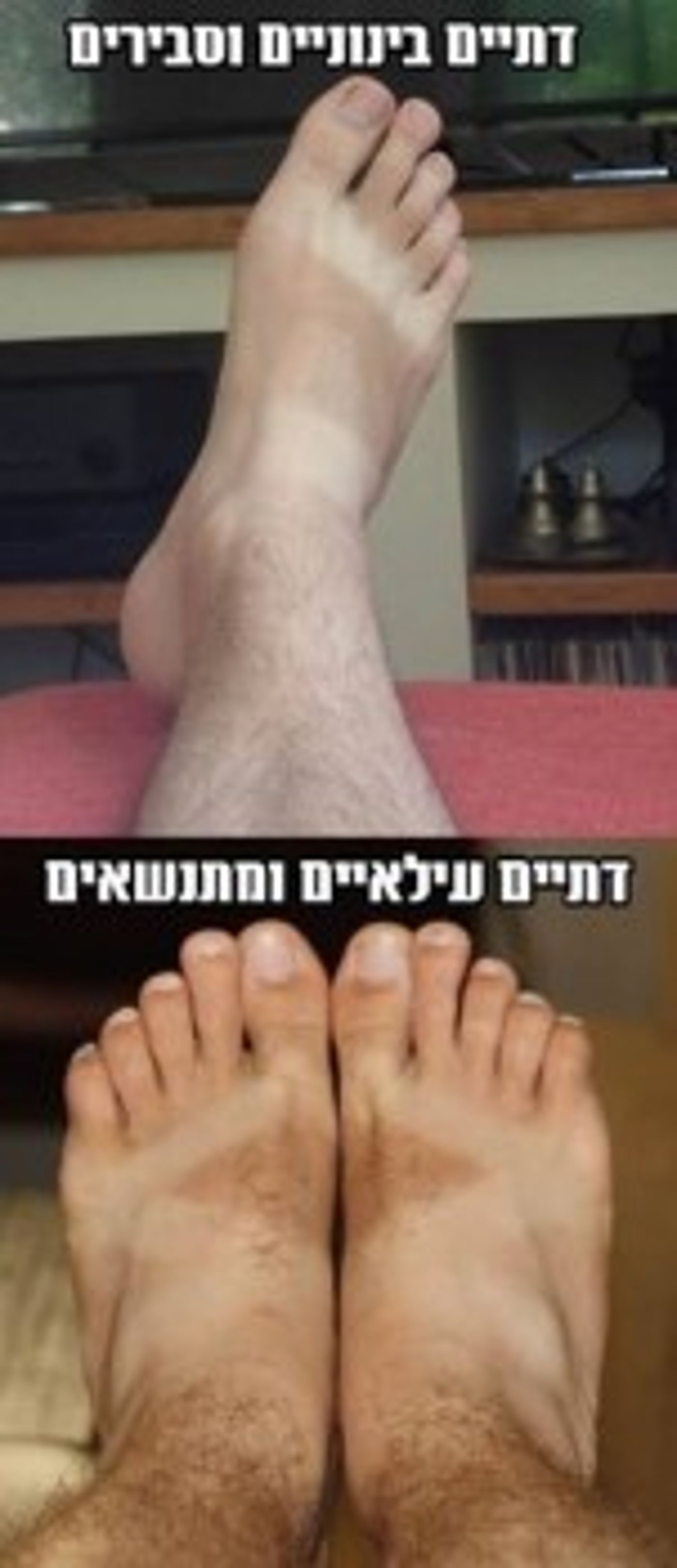 מצעד דוסים מצייצים 32: הממים האהובים ביותר השבוע
