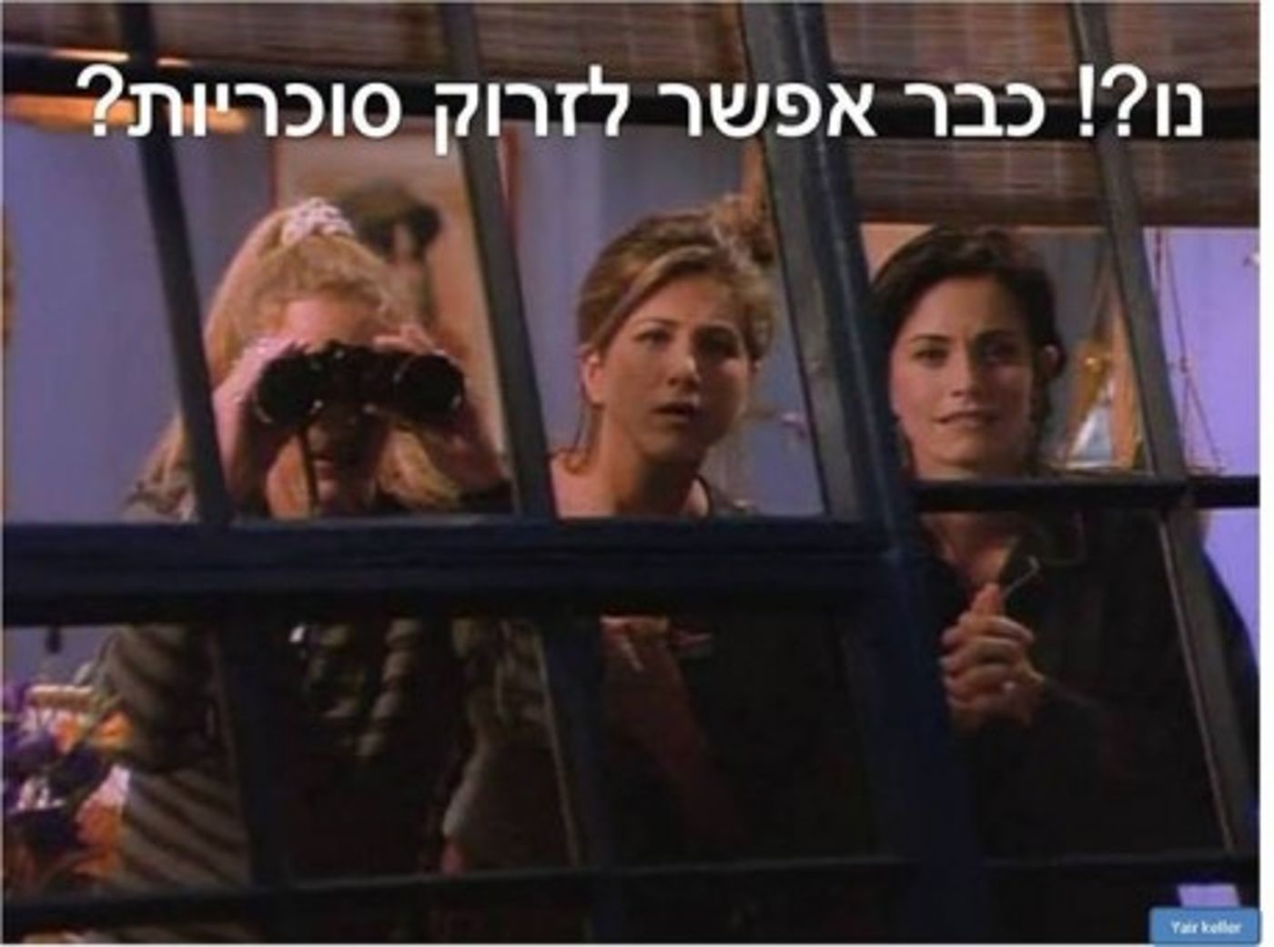 מצעד דוסים מצייצים 32: הממים האהובים ביותר השבוע