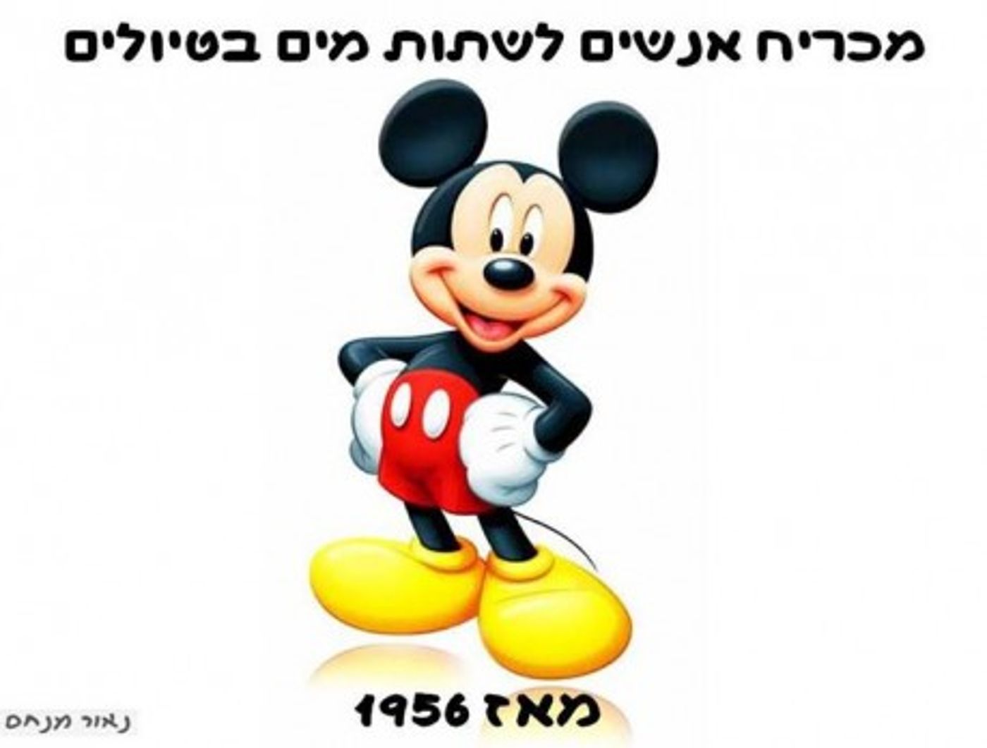 מצעד דוסים מצייצים 32: הממים האהובים ביותר השבוע