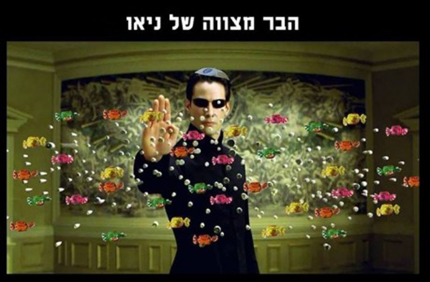 מצעד דוסים מצייצים 33: הממים האהובים ביותר השבוע
