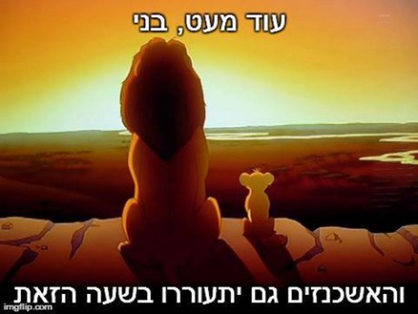 מצעד דוסים מצייצים 33: הממים האהובים ביותר השבוע