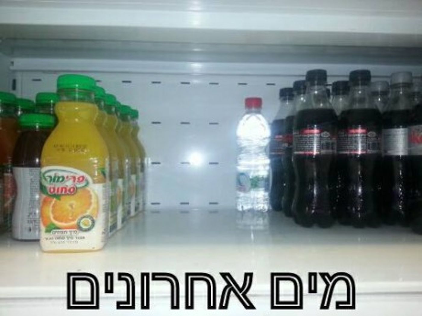 מצעד דוסים מצייצים 33: הממים האהובים ביותר השבוע