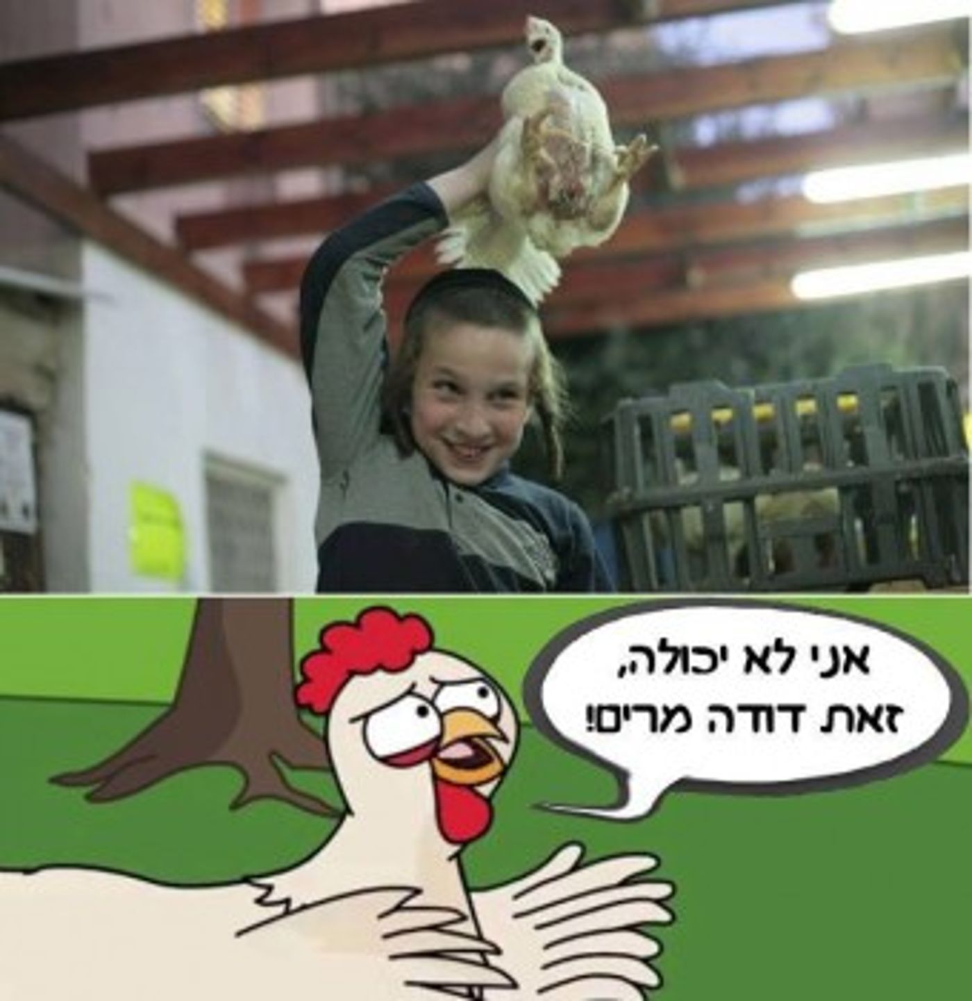 מצעד דוסים מצייצים 35: הממים האהובים ביותר השבוע