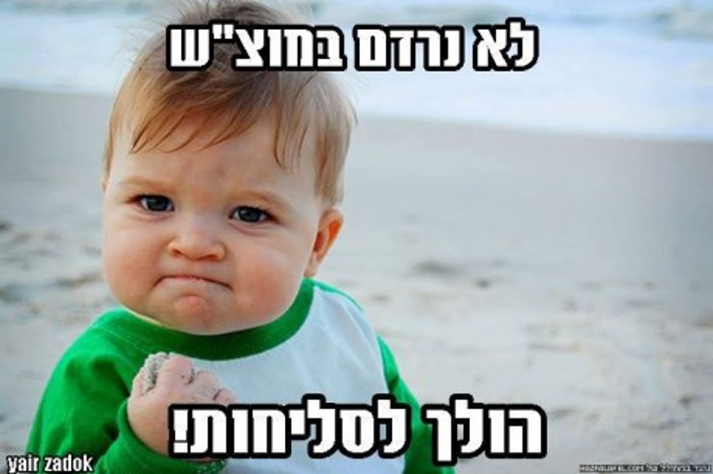 מצעד דוסים מצייצים 35: הממים האהובים ביותר השבוע