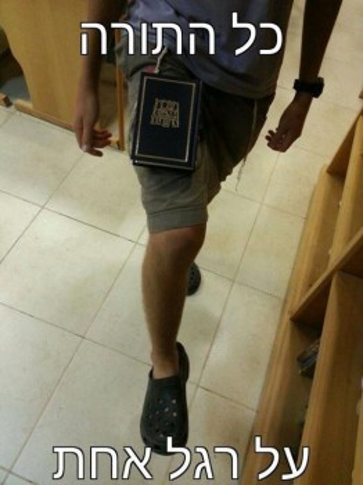 מצעד דוסים מצייצים 36: הממים האהובים ביותר השבוע