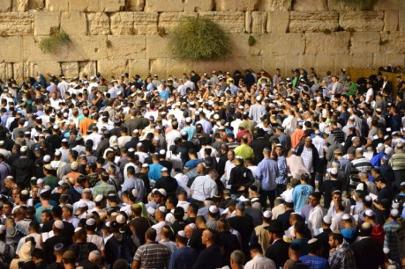 גלריית ענק: עשרים אלף איש בסליחות בכותל המערבי