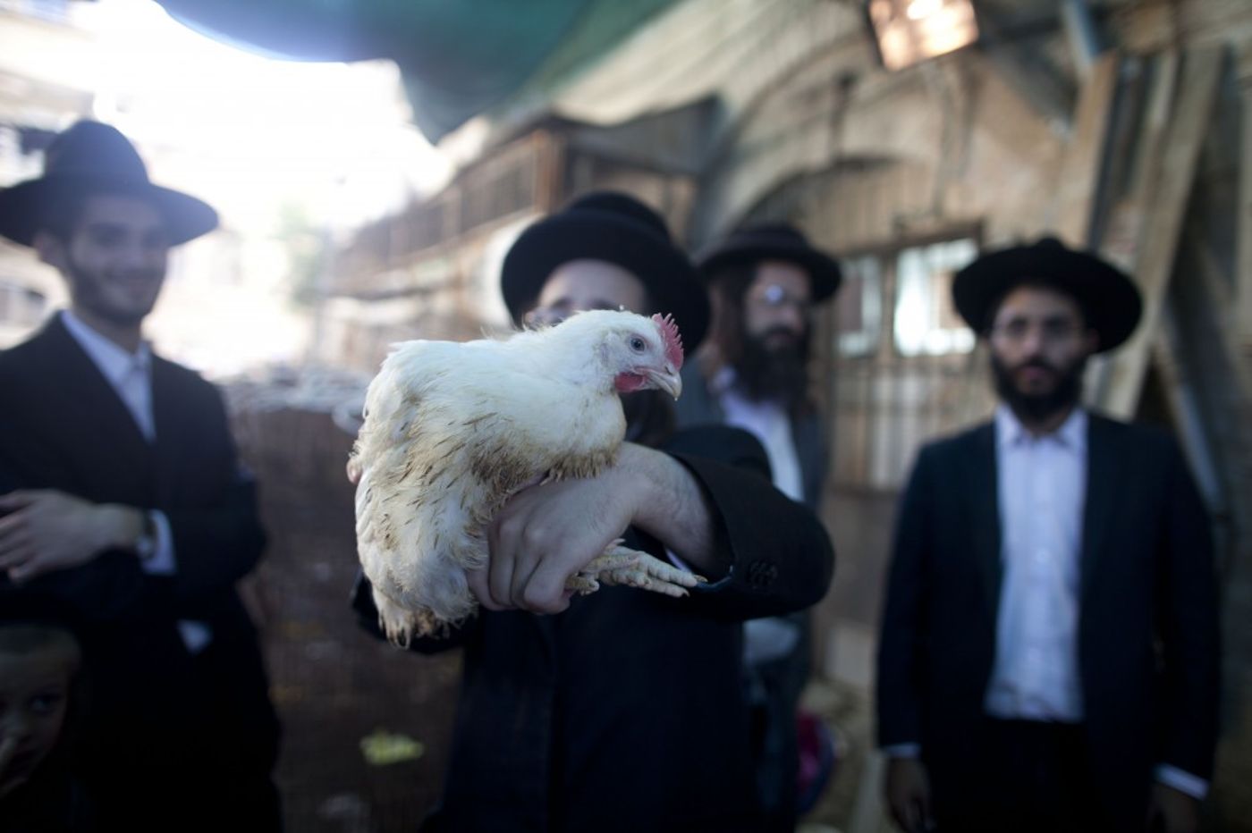 זה התרנגול ילך למיתה: צפו בכפרות בירושלים