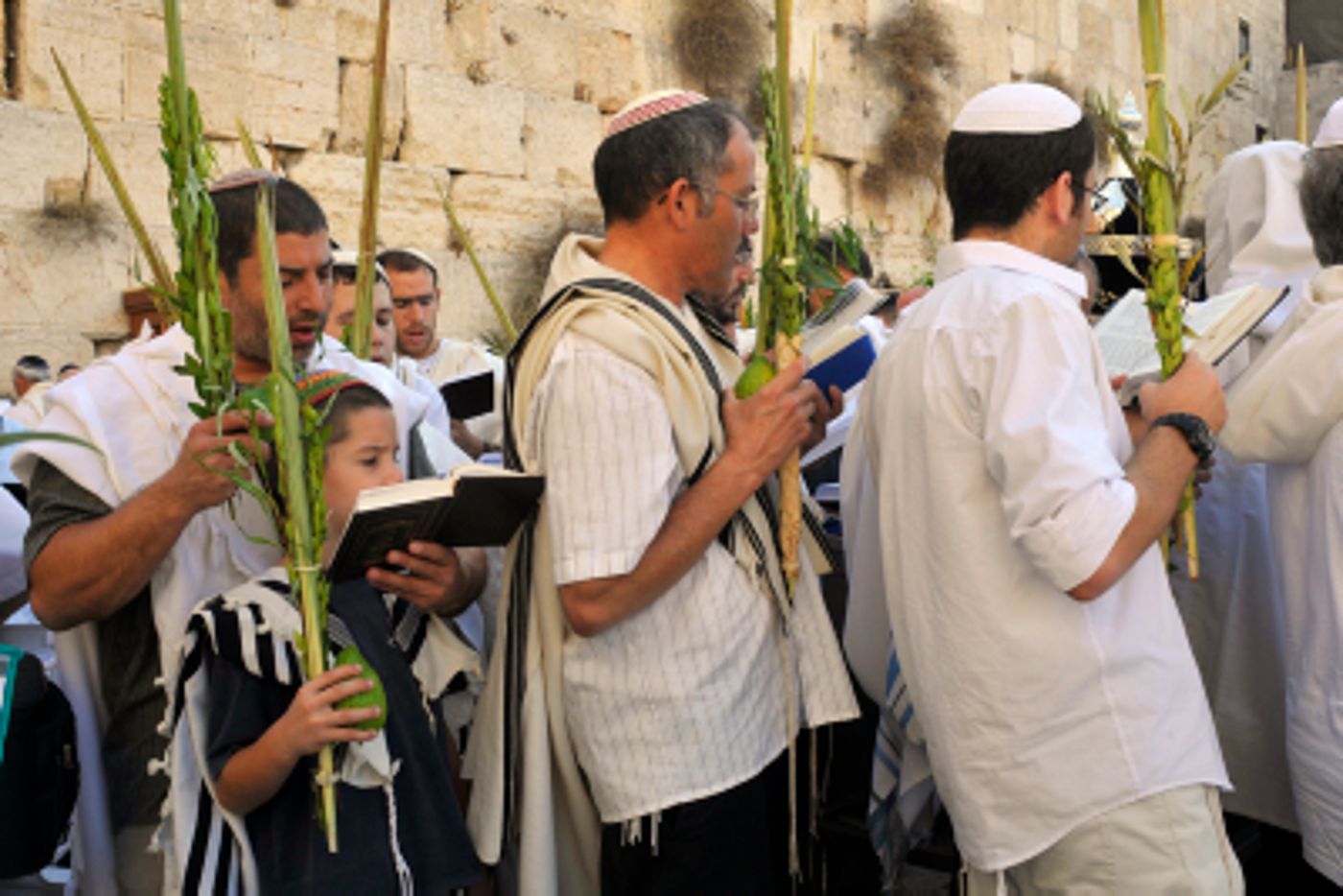 לא צריך יבוא: 700 אלף לולבים תוצרת הארץ
