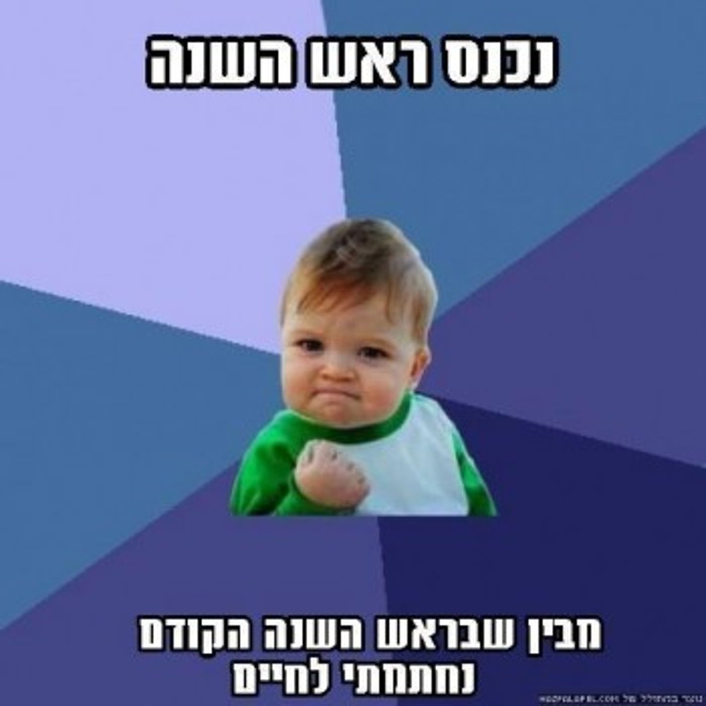 מצעד דוסים מצייצים 37: הממים האהובים ביותר השבוע