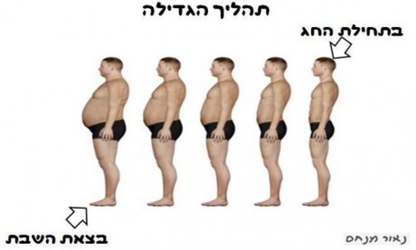 מצעד דוסים מצייצים 37: הממים האהובים ביותר השבוע