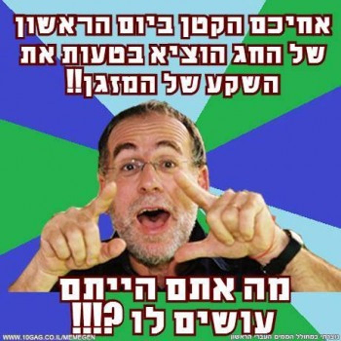 מצעד דוסים מצייצים 37: הממים האהובים ביותר השבוע