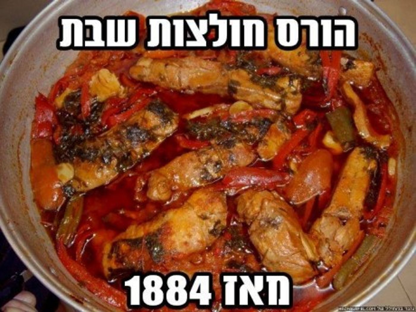 מצעד דוסים מצייצים 37: הממים האהובים ביותר השבוע