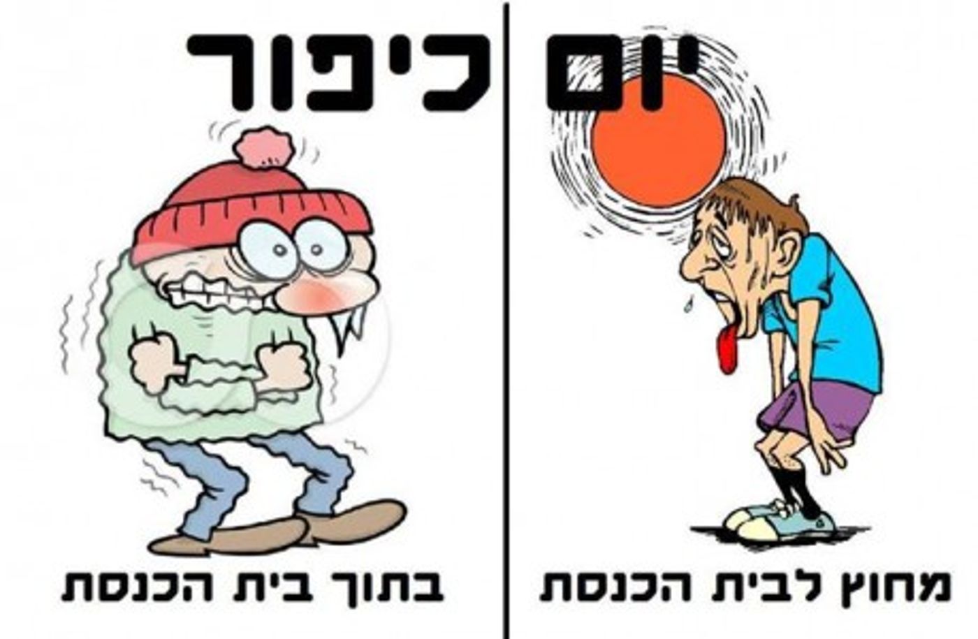 מצעד דוסים מצייצים 37: הממים האהובים ביותר השבוע