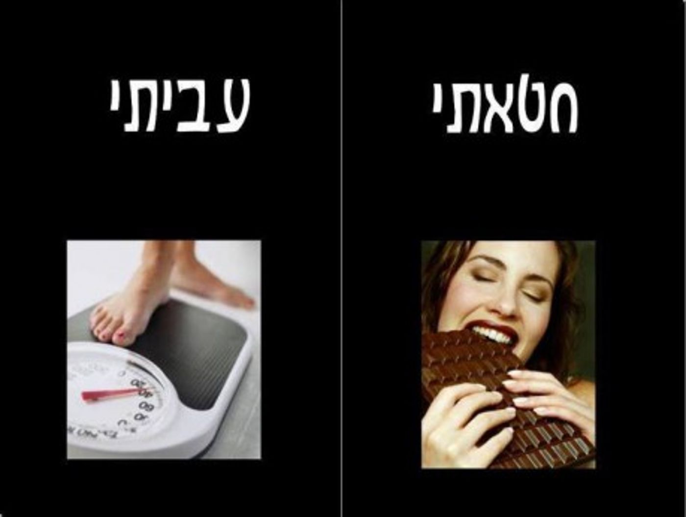 מצעד דוסים מצייצים 37: הממים האהובים ביותר השבוע