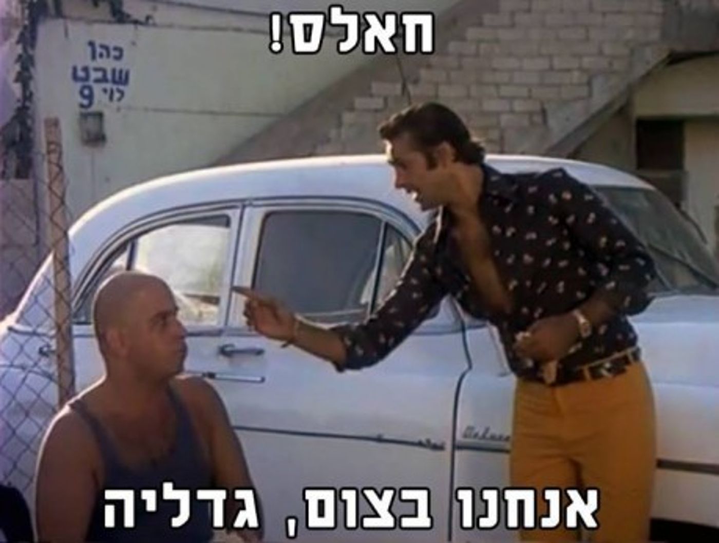 מצעד דוסים מצייצים 37: הממים האהובים ביותר השבוע