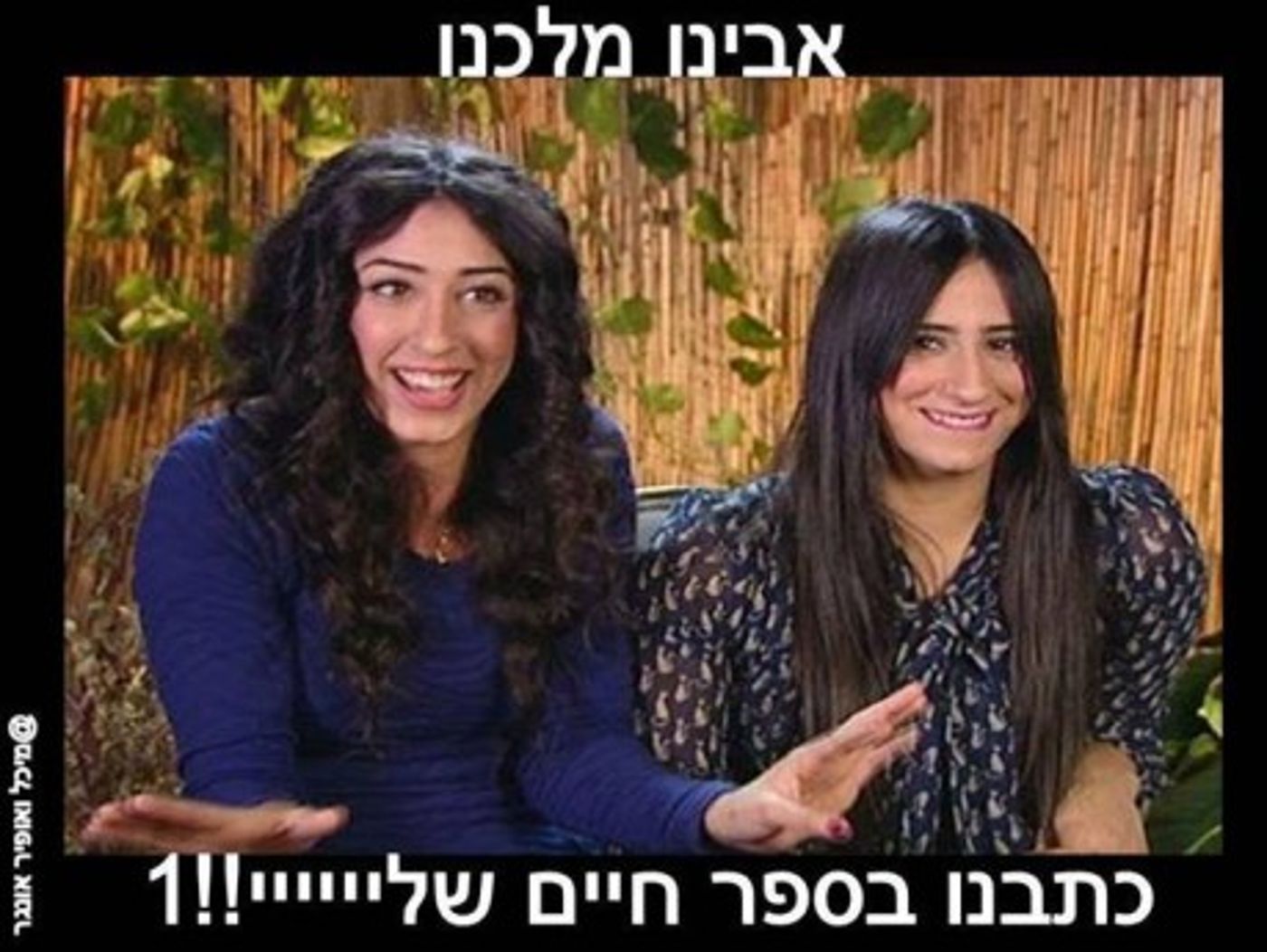מצעד דוסים מצייצים 37: הממים האהובים ביותר השבוע