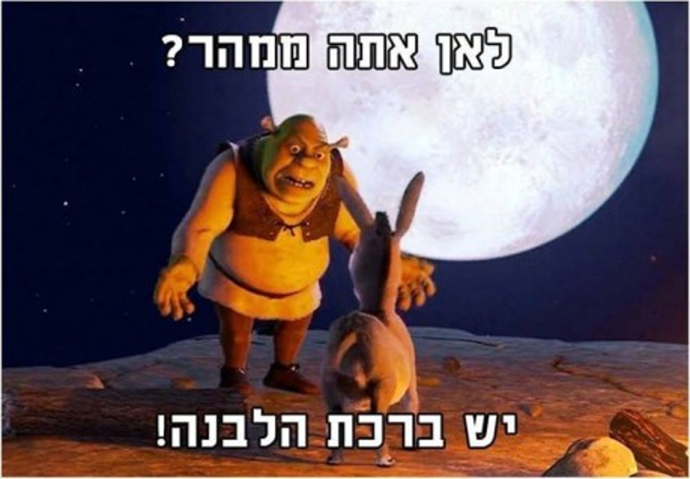 מצעד דוסים מצייצים 38: הממים האהובים ביותר בחגים