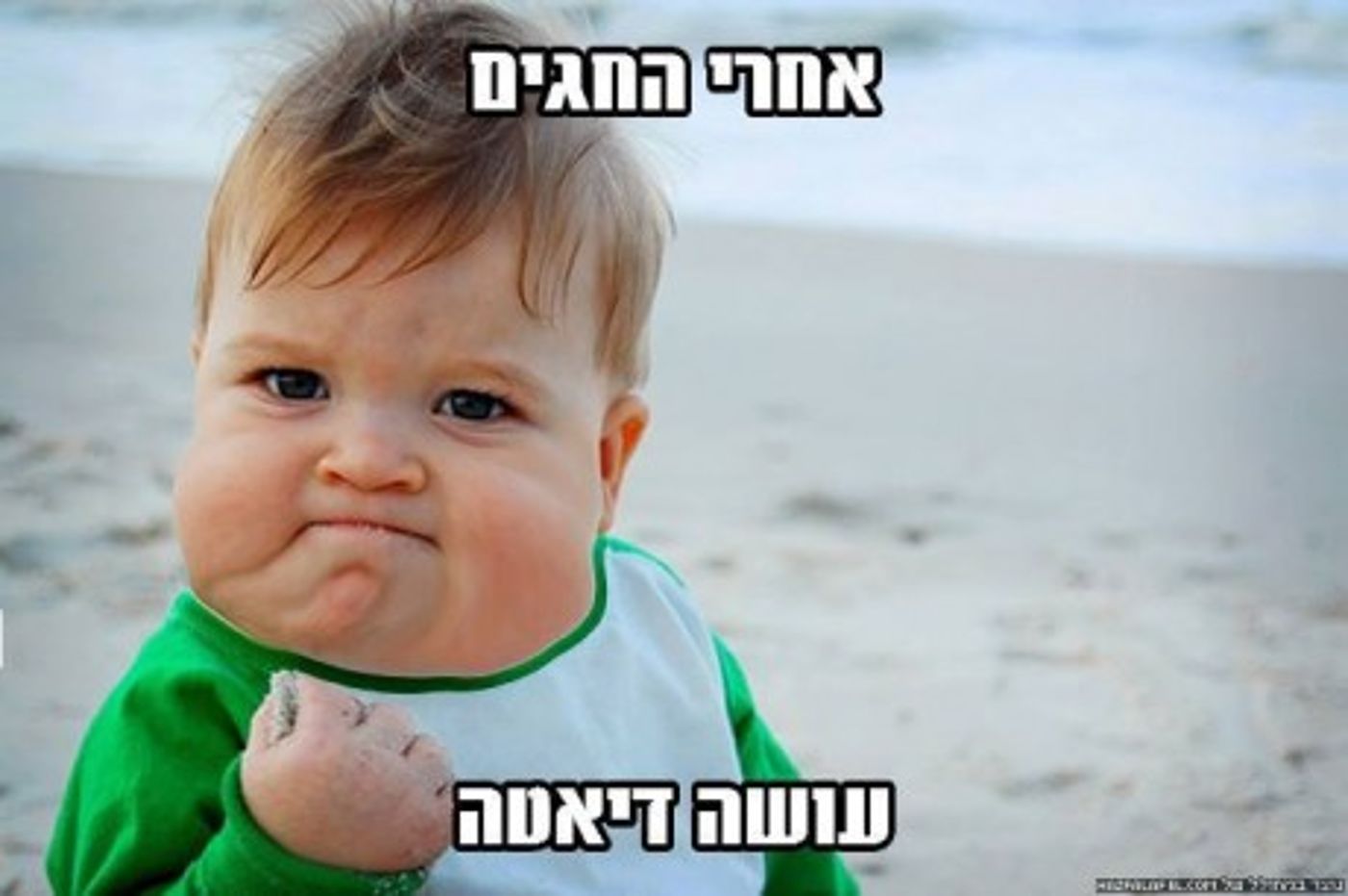 מצעד דוסים מצייצים 39: הממים האהובים ביותר השבוע