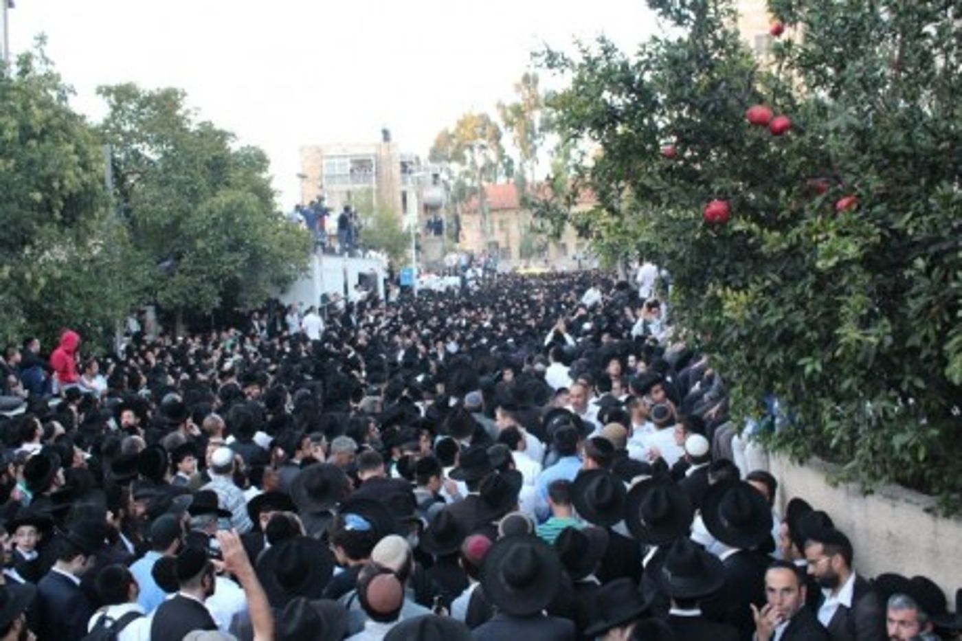 גלריית תמונות: מאות אלפים גודשים את הרחובות