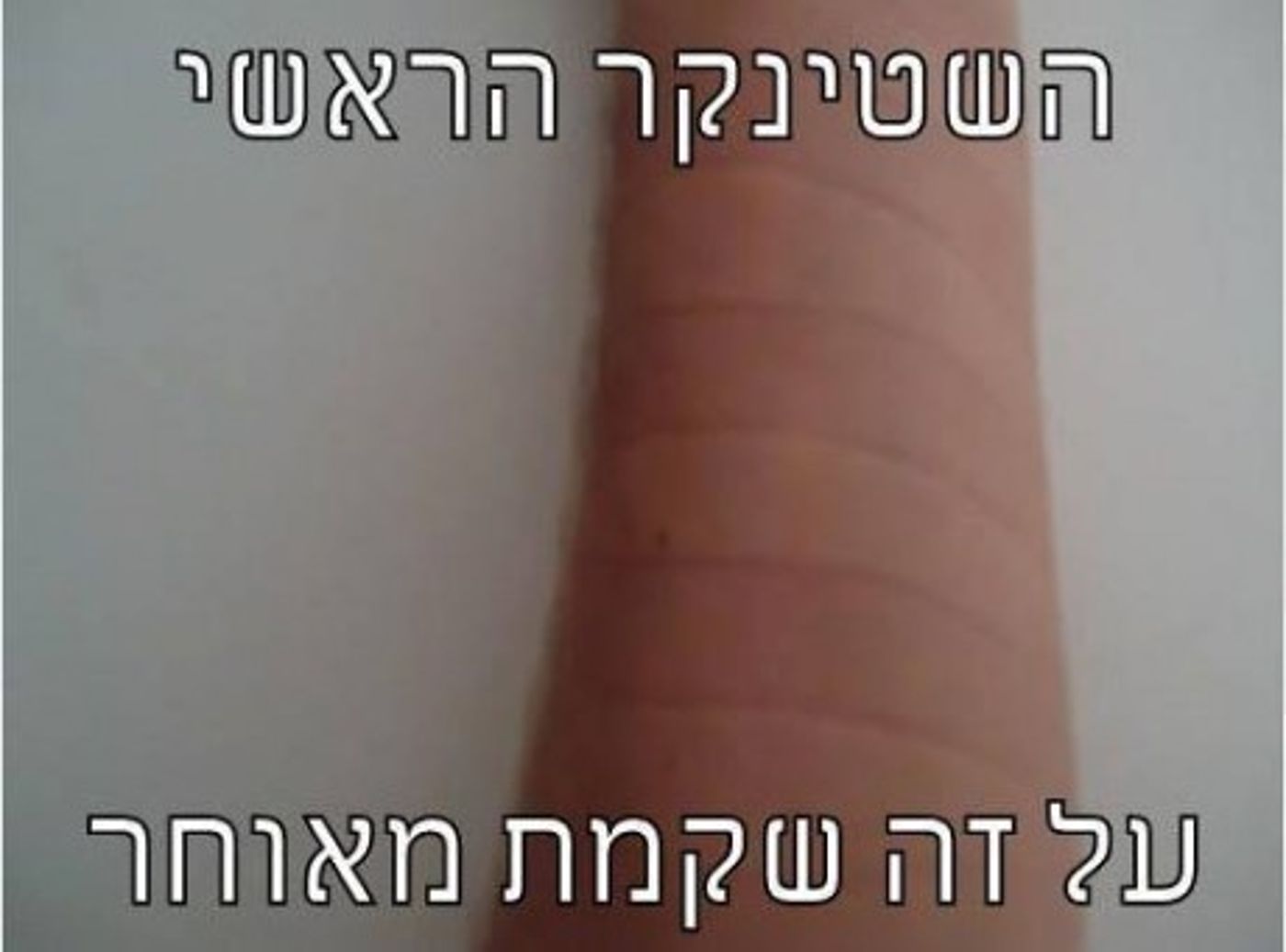 מצעד דוסים מצייצים 40: הממים האהובים ביותר השבוע