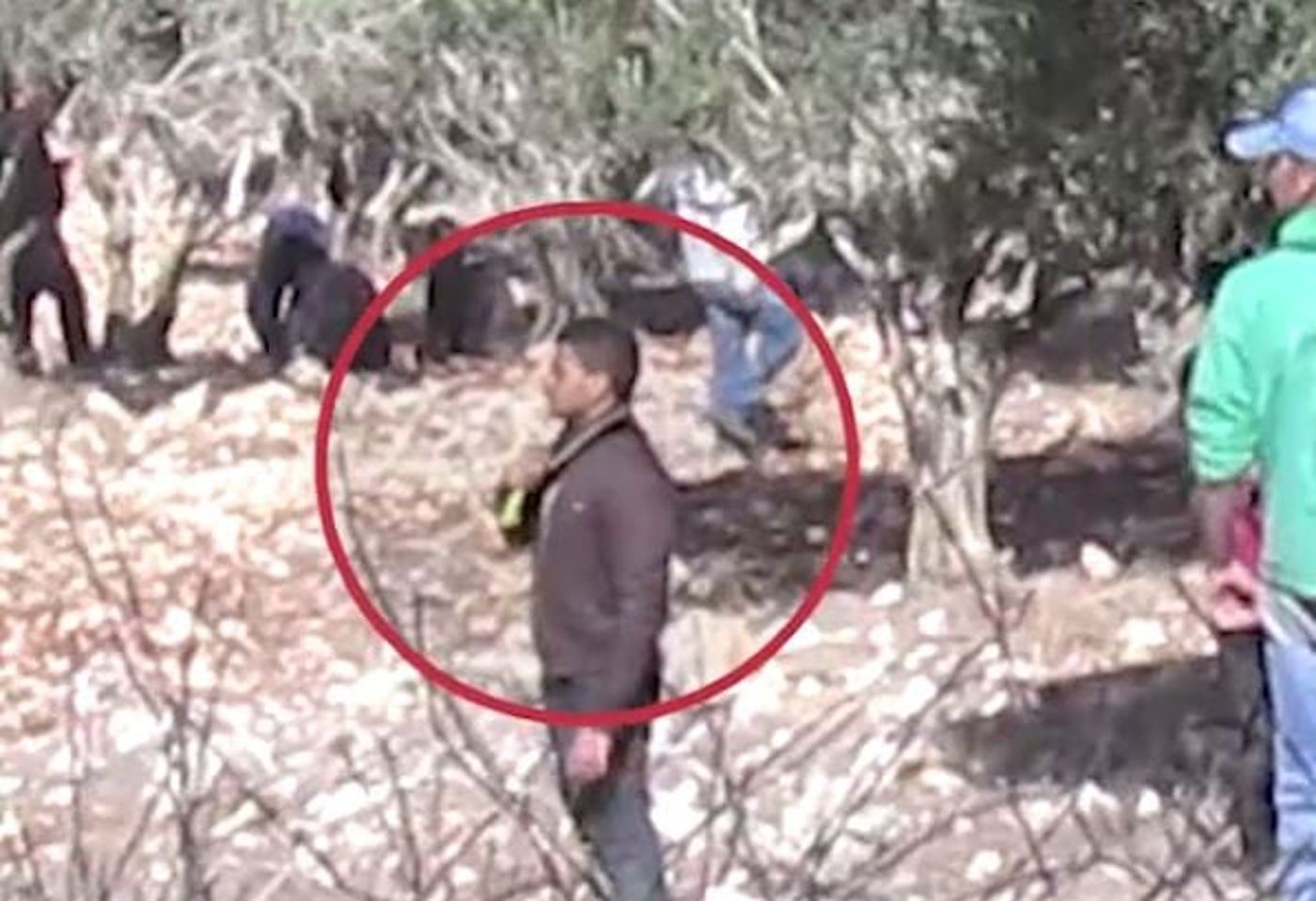 בחסות המסיק: ערבים מסמנים שחיטה; "יהיה כאן רצח כמו של משפחת פוגל"
