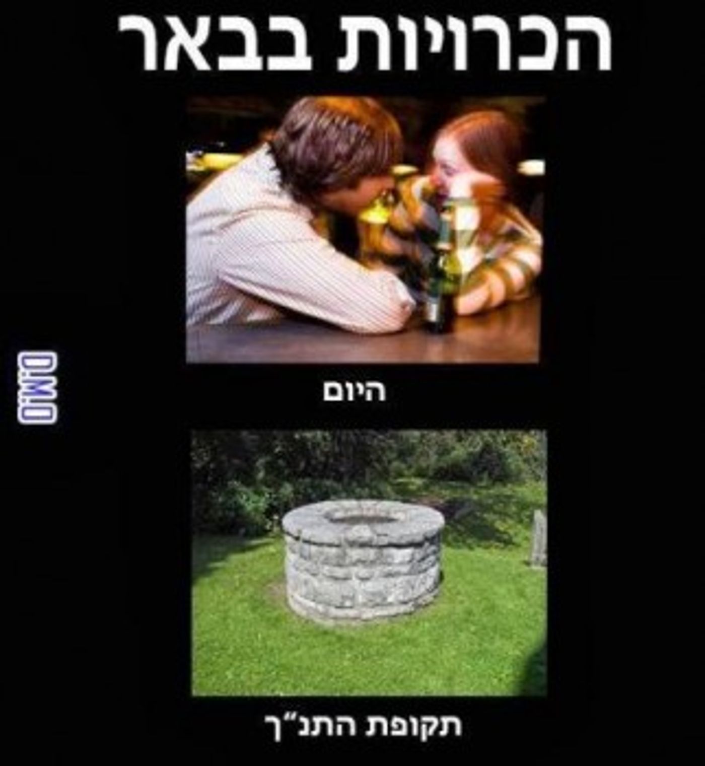 מצעד דוסים מצייצים 41: הממים האהובים ביותר השבוע