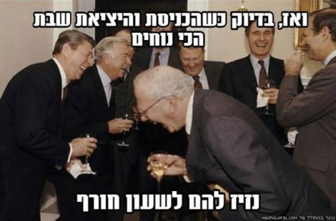 מצעד דוסים מצייצים 41: הממים האהובים ביותר השבוע