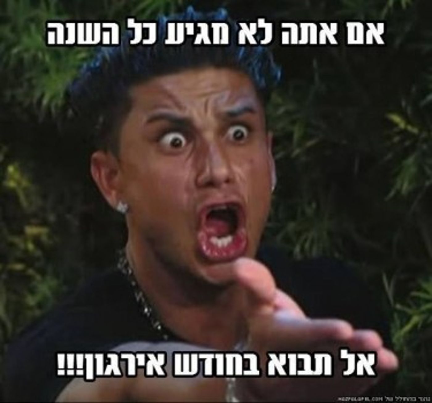 מצעד דוסים מצייצים 41: הממים האהובים ביותר השבוע
