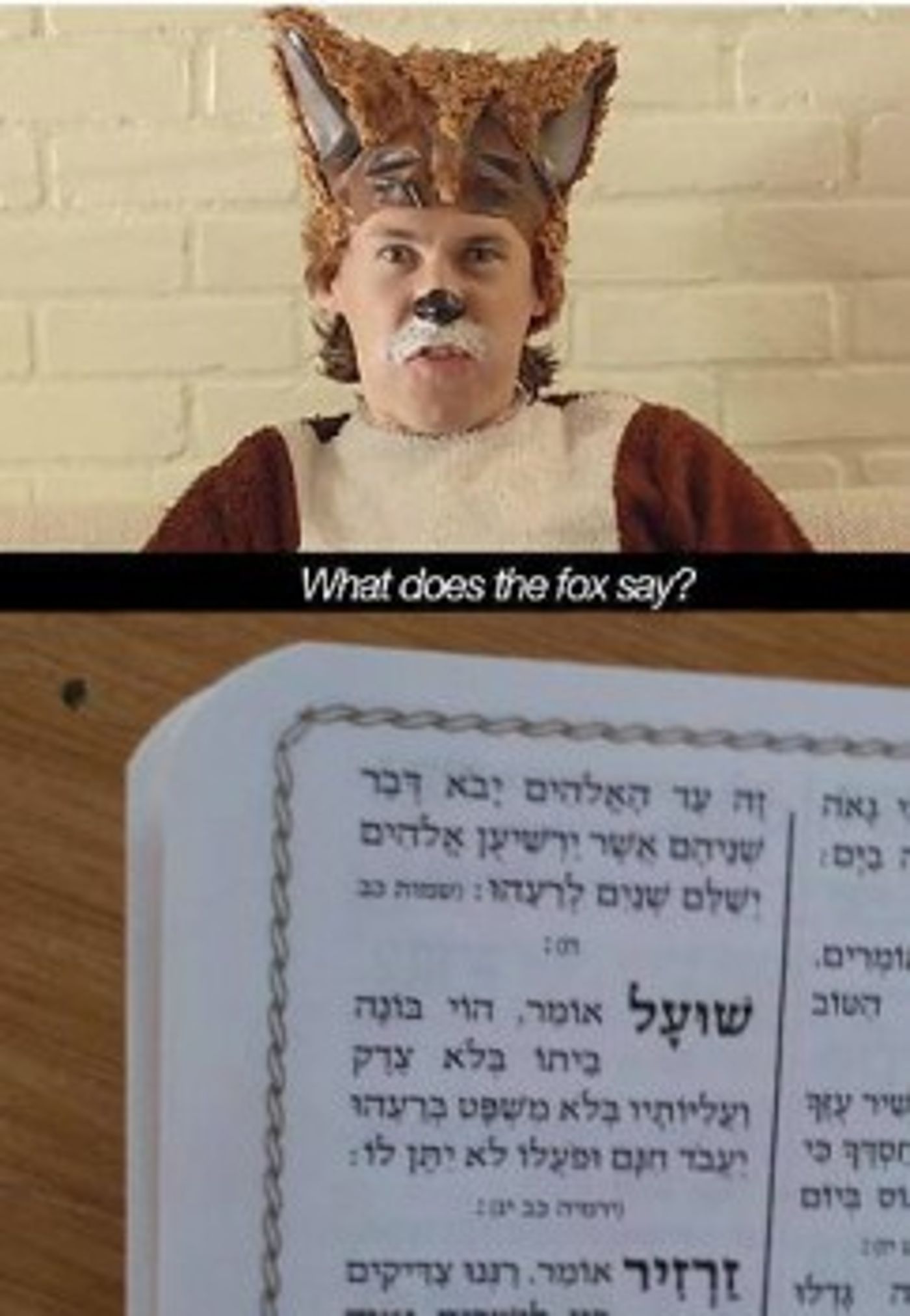 מצעד דוסים מצייצים 41: הממים האהובים ביותר השבוע
