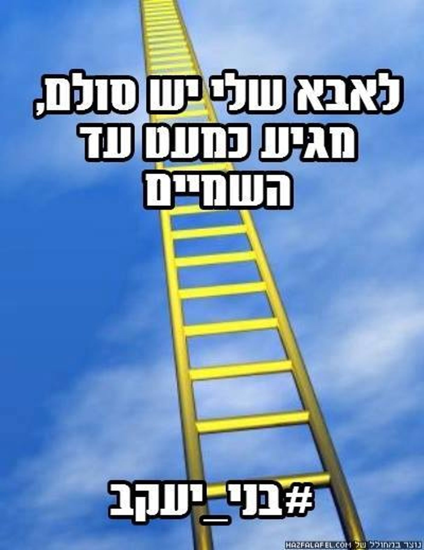 ____ 8